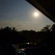 バリ島今夜は満月です