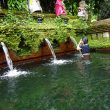 ウブドから15分 外国人観光客の少ない沐浴できる寺院へご案内します。